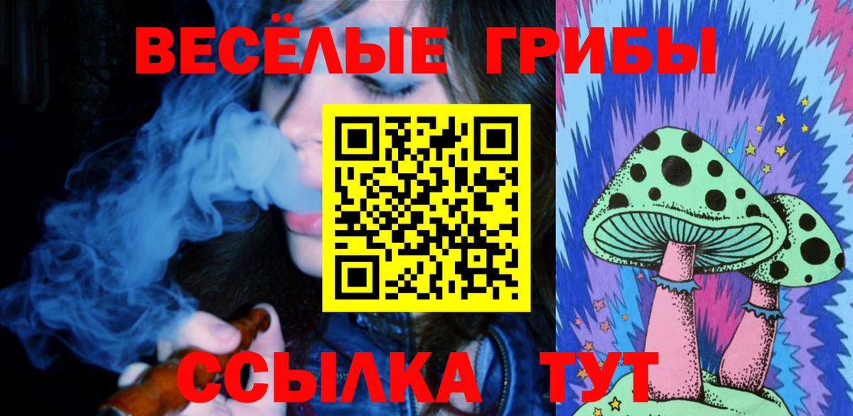 Псилоцибиновые грибы ЛСД Сунжа
